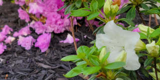 4791 Mattox St Gallery 30