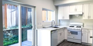 Iris Apartments - Student Housing Gallery 4