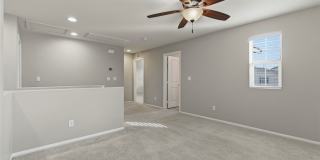 7135 Elder Street Gallery 28