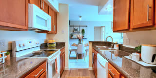 TGM Springbrook Gallery 1