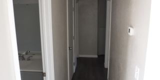 1145 Nadene Drive Gallery 5