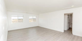 38938 Malva Rosa Drive Gallery 19