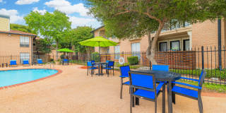 Sandshell at Fossil Creek Gallery 26