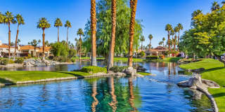 79840 Arnold Palmer Gallery 47