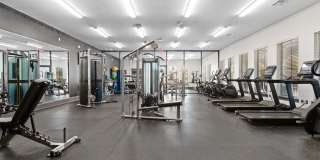 Water Oak Gallery 36