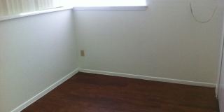 Forest Ridge Gallery 109