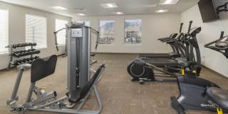 Polaris Peak Gallery 83