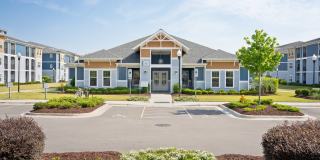 Hawthorne at Pine Forest Gallery 59