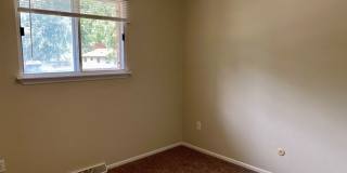 Cute House with Amazing Yard! Gallery 9