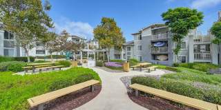 The Tradition Gallery 3