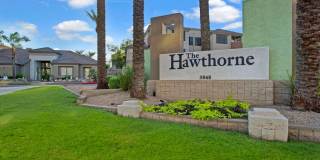 The Hawthorne Gallery 18