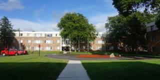 Willows on France Gallery 23