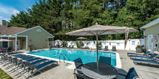 Katahdin Woods Gallery 9