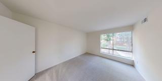 Fresh and ready 2Bed/1Bath - Close to Metro, Shopping, and Dining! Gallery 14