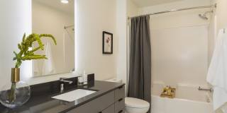 Queen Anne Exchange Gallery 2