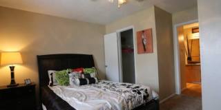 3232 Timber View Dr Gallery 1