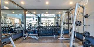 Cortland Oleander Gallery 46