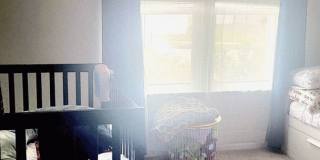 7882 Island Fox Rd, Jacksonville, FL 32222 Gallery 4