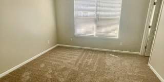 RoyalCeladon6454 Gallery 14