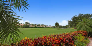 528 Les Jardin Drive Gallery 2