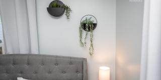 1304 Belleview Avenue - 1 Gallery 16