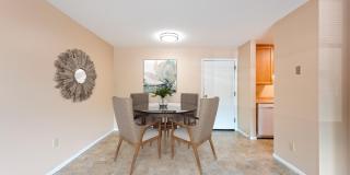 Shamrock Court Gallery 10