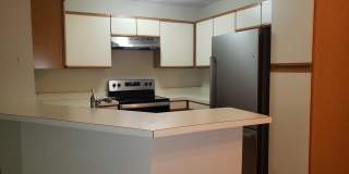 11705-A SUMMERCHASE Circle Gallery 6