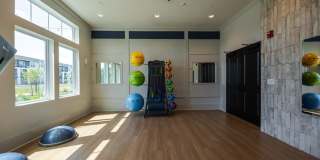 Madison Palms Gallery 53