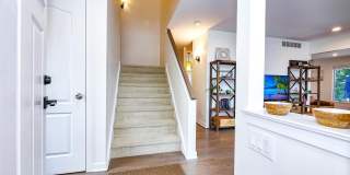 31 Bayside Ct Gallery 22
