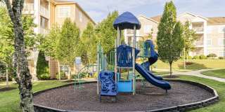 Oasis at Montclair Gallery 19