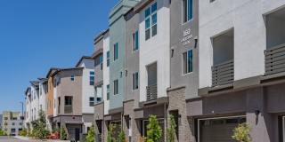 Marlowe Palomar Heights Gallery 40