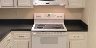 Charming 1BR Condo in Prime Westshore Location – Move-In Ready! Gallery 5