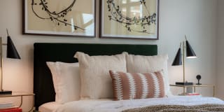 Alexan Florence Gallery 19