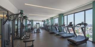 The Carson Gallery 40