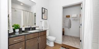 Livano at Town Madison Gallery 4