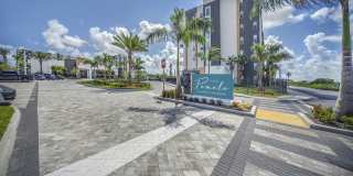 The Pomelo Gallery 1