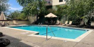 Nice Cozy 1 Bedroom Condo !!! Gallery 13