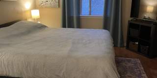 8250 E ARABIAN Trail Gallery 10