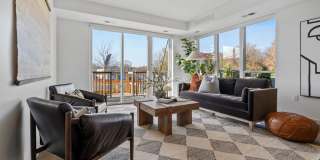 The Fox & The Grouse Gallery 19