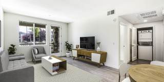 Blossoms at Brentwood Gallery 5