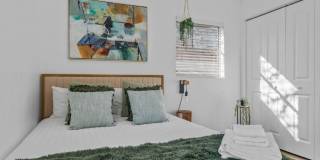 Modern 4BR South Tampa Home | Yard | Near the Bay Gallery 17