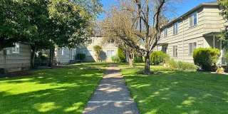 315e19 Gallery 5