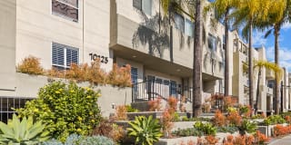 Palms Court Gallery 25