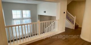 7 Bonsall Gallery 20