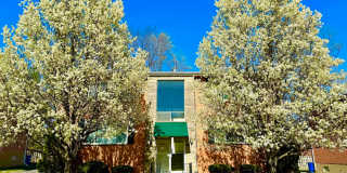 4236 Fatima Dr Gallery 1