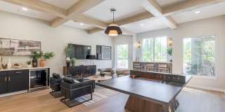 The Oasis Apartments Gallery 18