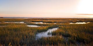 Goddard Point Hope Goddard Point Hope Gallery 52