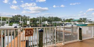 Culbreath Key Gallery 24