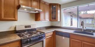9813 Caspi Gardens Drive Gallery 5