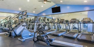 Walden Pond Gallery 6